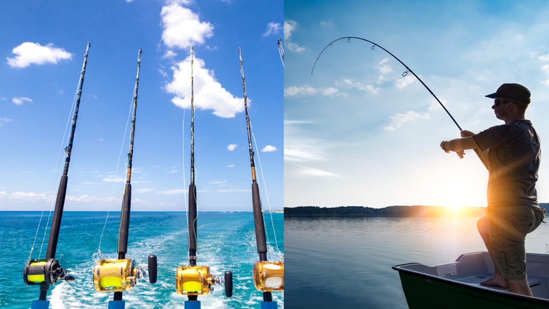Saltwater Fishing vs. Freshwater Fishing: What You Need To Know